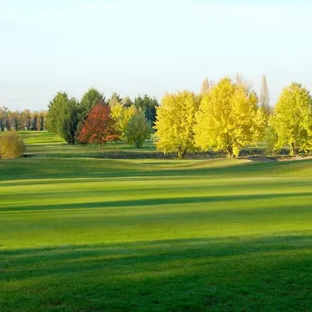 De La Galerie Du Port 