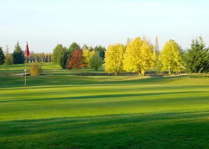 De La Galerie Du Port 